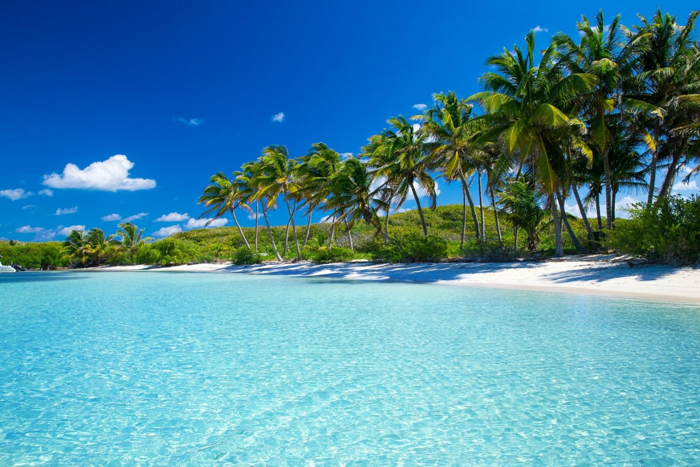 MARTINIQUE - Sainte Luce - p.178-179