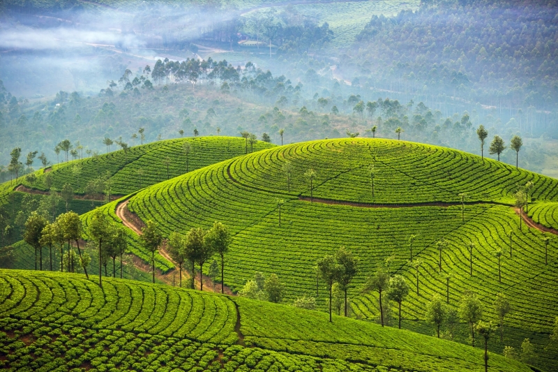 SRI LANKA - &quot;Splendeurs du Sri Lanka&quot; - p.194-195