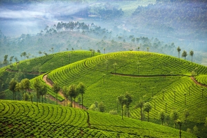 SRI LANKA - "Splendeurs du Sri Lanka" - p.194-195