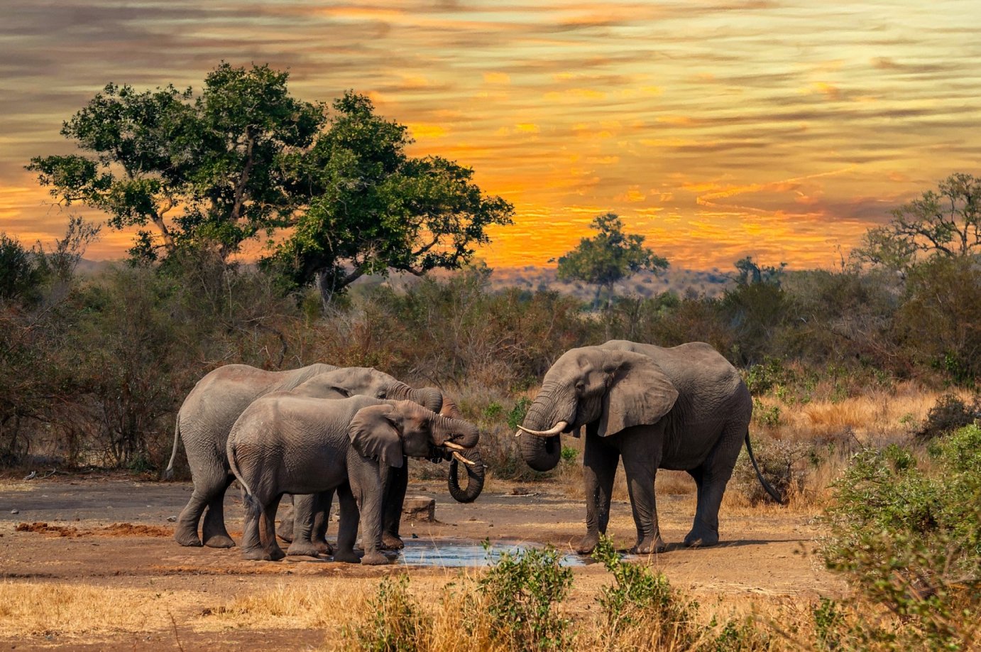 AFRIQUE DU SUD - «Echappée en terre Sud-Africaine» - p.152-153