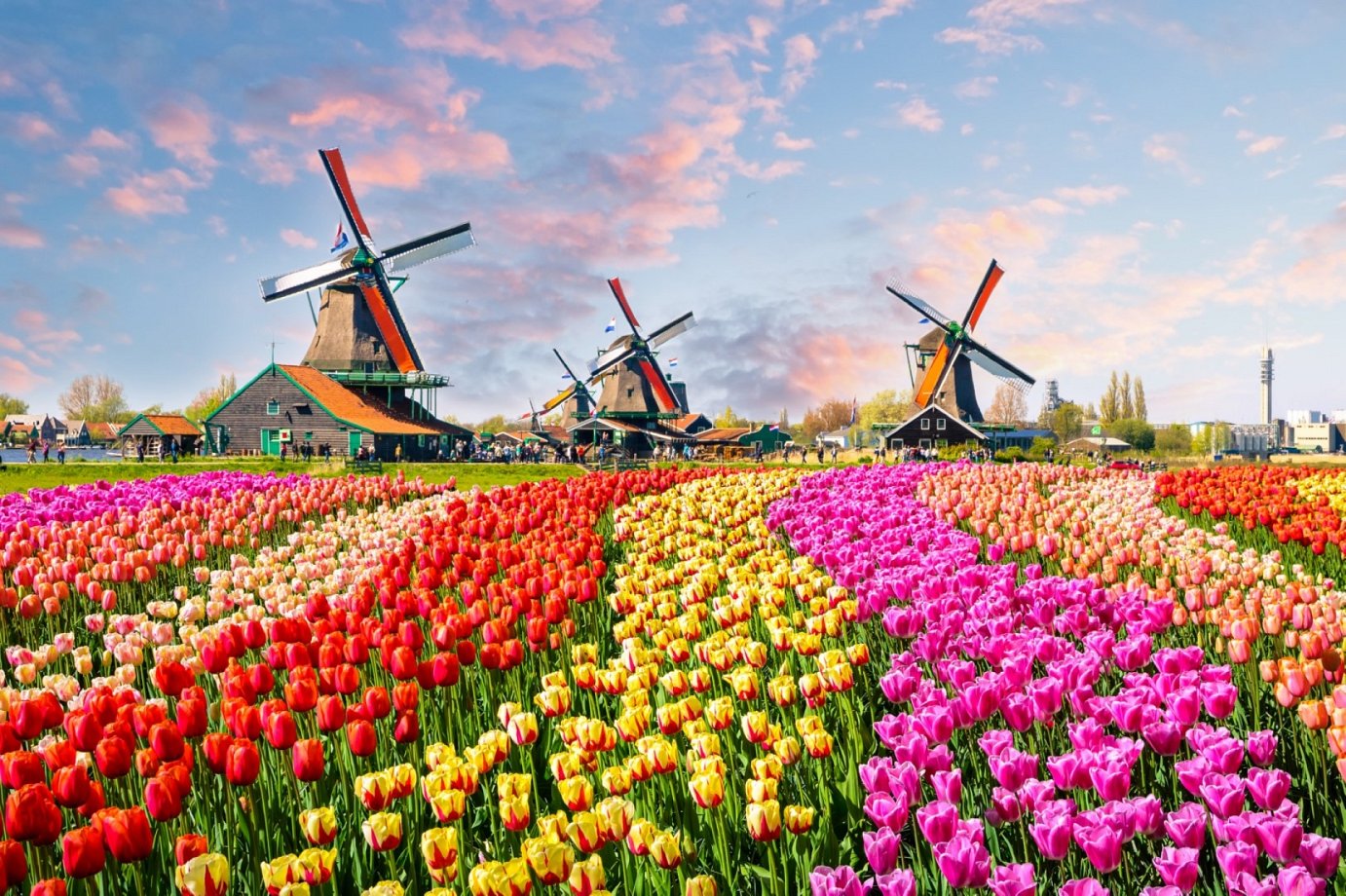 HOLLANDE - BELGIQUE - &quot;Pays des tulipes&quot; (pages 128-129)